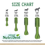 Dog Treats - Nutri Dent Mini (36pk)