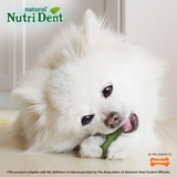 Dog Treats - Nutri Dent Mini (36pk)