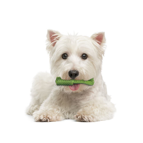 Dog Dental Chew - Nutri Dent Fresh Breath Small (1pk)