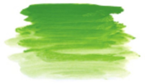 A2 Acylic Paint  -  120ml Green Light