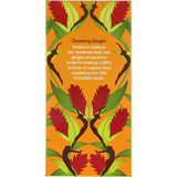 Pukka Herbal Tea Three Ginger: A comforting blend of ginger, galangal, turmeric, and licorice for digestive wellness.