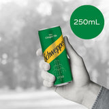 Bottle of Schweppes Drink Mixers Dry Ginger Ale, featuring zesty flavor and perfect for cocktails and gatherings.