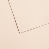 Canson Mi-Teintes Velvet Paper 430gsm - 50 X 65 - Powder Beige 602