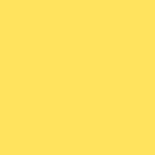 Jacquard Stacey Park Premium Dye Ink Pads - Yellow Curry