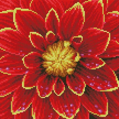 Diamond Dotz Diamond Kit  - Dahlia 30x30cm