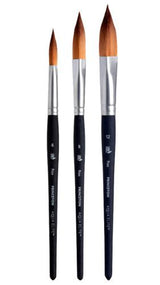 Princeton Aqua Elite Prism Brushes (SH) - Size 12