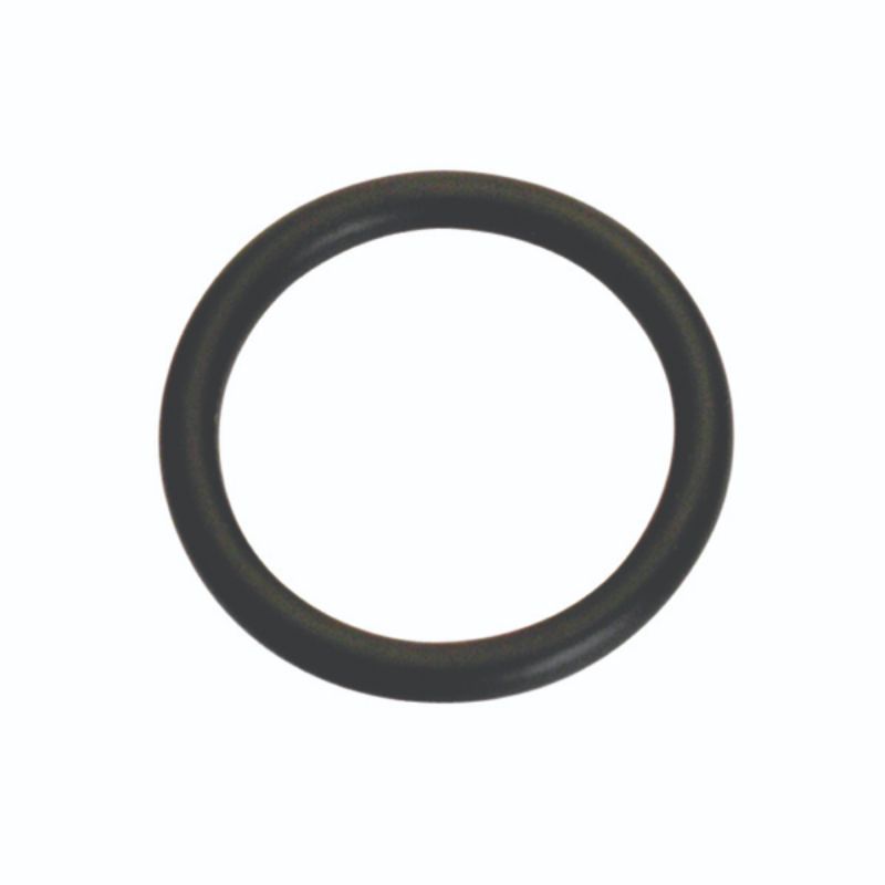 Champion 16mm (I.D.) x 2.5mm Metric O-Ring -10pk