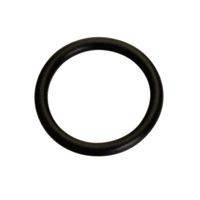 Champion 22mm x 3.5mm metric O-Ring 10-pack for reliable sealing in automotive and plumbing applications.