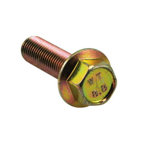 Champion M6 x 16mm flange head set screws, Gr8.8, 20-pack for durable fastening in automotive and construction projects.