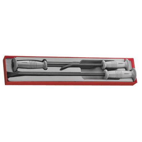 Teng 3pc Pry Bar Set with ergonomic handles and striking heads, includes 12in, 18in, and 22in bars in TTX-Tray.