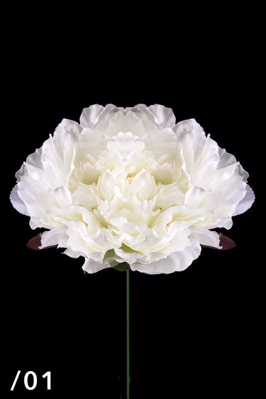 Set of 20 white artificial peony heads, crafted from high-quality poly silk, ideal for elegant floral arrangements and decor.