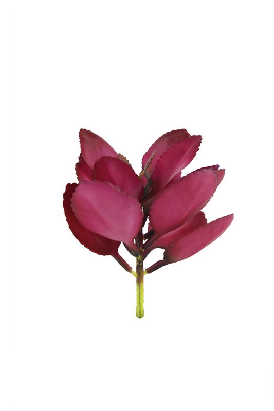 Burgundy artificial apple leaf succulent set of 6, featuring 14 petals each, perfect for decor and arrangements.