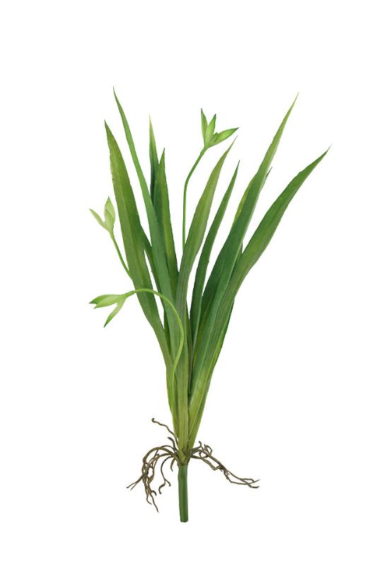 Lifelike mid-green artificial orchid leaf spray set of 6, featuring 13 leaves, bud stems, and realistic loose roots.
