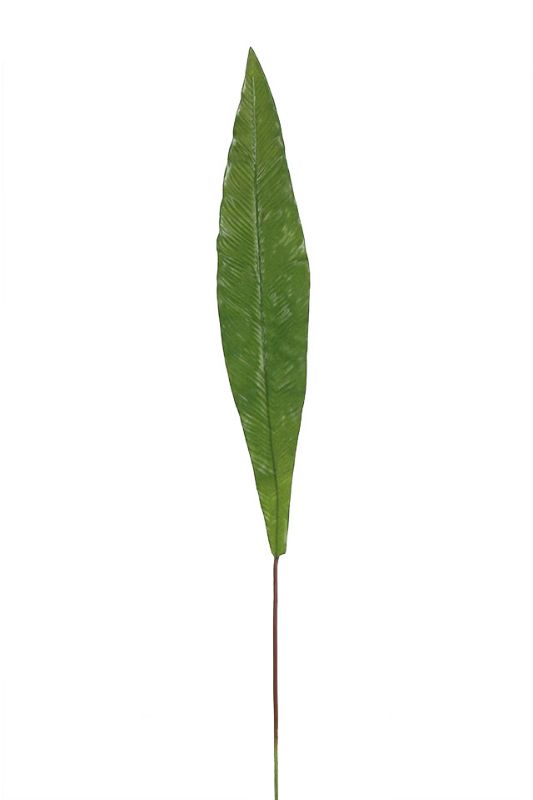 Set of 5 mid-green artificial large spear leaves, each 108cm tall, ideal for low-maintenance tropical decor.