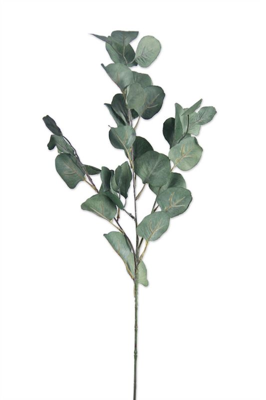 Set of 6 artificial Sage Dollar Gum Sprays, 77cm tall, perfect for stylish, evergreen decor and arrangements.