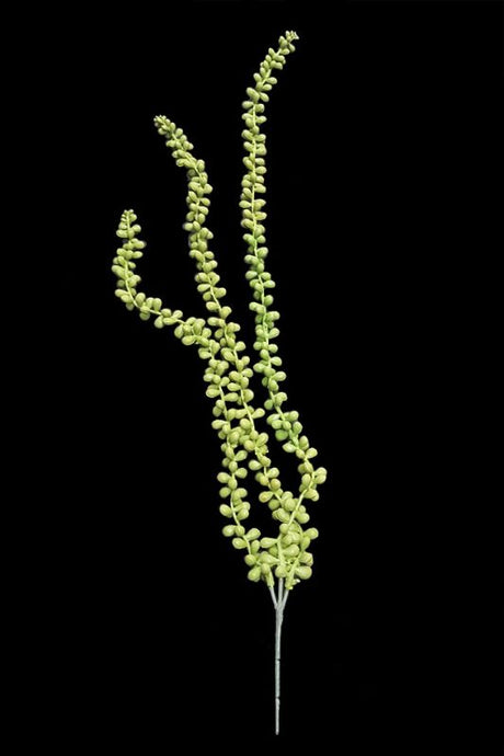 Set of 6 mid-green artificial trailing String Of Pearls, designed for elegant and low-maintenance home decor.