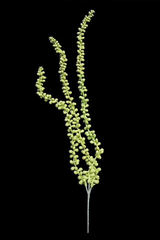 Set of 6 mid-green artificial trailing String Of Pearls, designed for elegant and low-maintenance home decor.