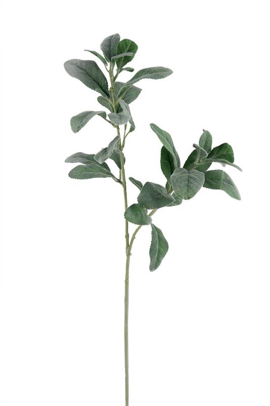 Set of 4 artificial lamb's tongue leaf sprays in sage, 70cm high, adding lush, textured greenery to any decor.