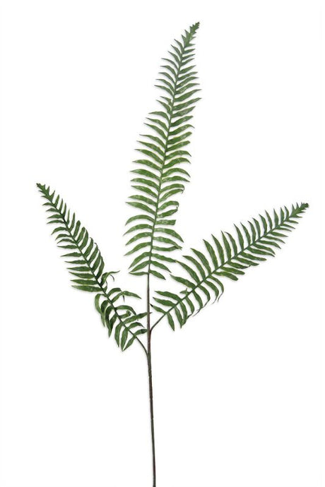 Set of 6 artificial fern sprays with 3 lush fronds each, rich mid green, 80cm tall, perfect for vibrant home decor.