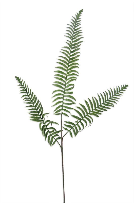 Set of 6 artificial fern sprays with 3 lush fronds each, rich mid green, 80cm tall, perfect for vibrant home decor.