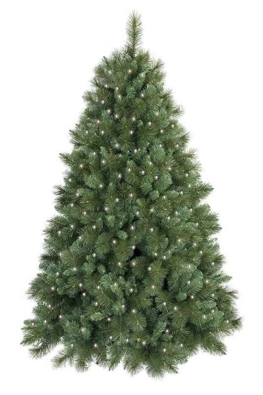 8' Deluxe Christmas Tree (inc 500 LEDs) -  Mid Green