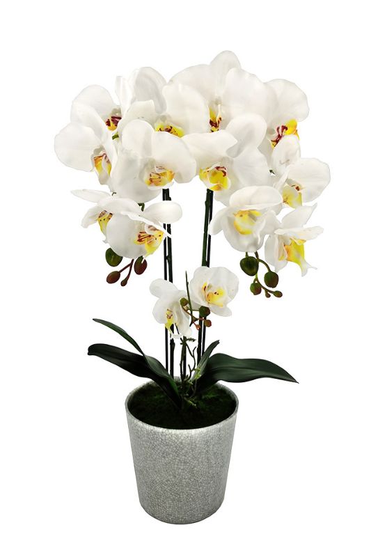 Artificial white Phalaenopsis orchid in a ceramic vase, featuring three lifelike stems and lush leaves, 58cm tall.
