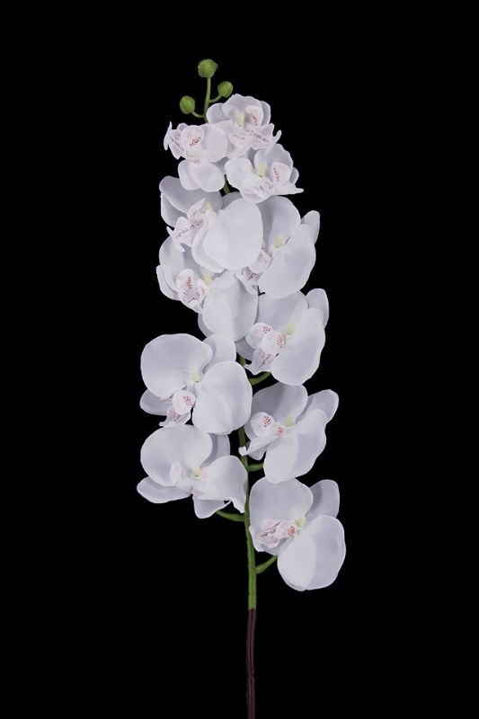 Set of 12 White Artificial Phalaenopsis Orchids with 11 blooms and 3 buds, 105cm tall, perfect for elegant home decor.