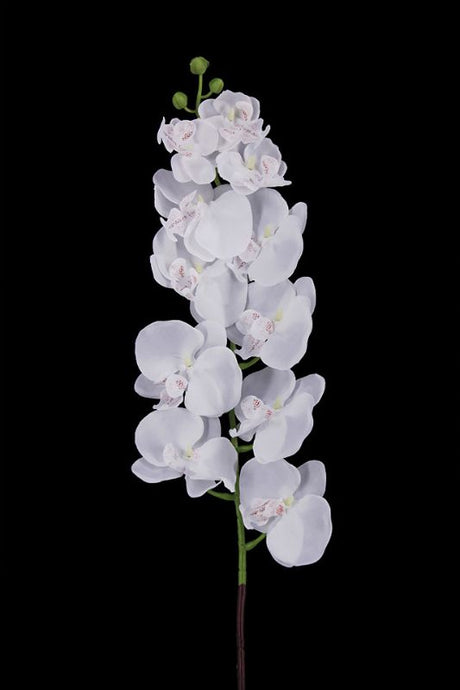 Set of 12 White Artificial Phalaenopsis Orchids with 11 blooms and 3 buds, 105cm tall, perfect for elegant home decor.