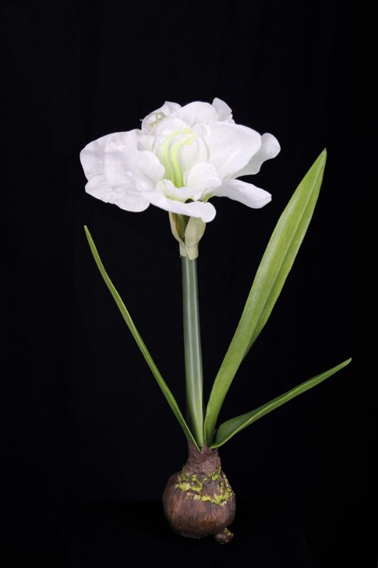 Set of 2 lifelike white artificial hippeastrum bulbs with realistic leaves, perfect for home decor and low-maintenance arrangements.