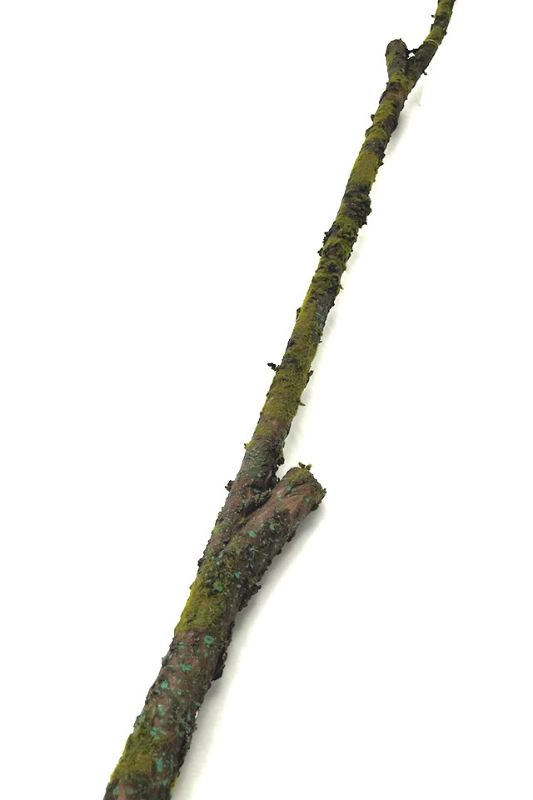 Artificial Deluxe Artificial Moss Branch -  Chocolate