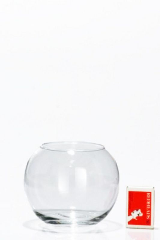 Glass - Plain Sphere Vase -  Clear - Set of 24