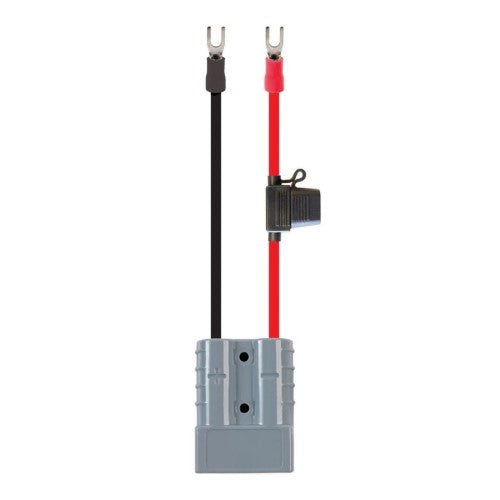 50A PLUG AND EYE TERMINALS 4MM (6MM2) - 30CM