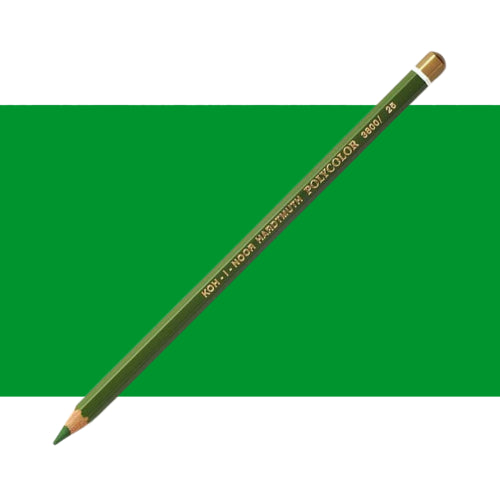 Koh-I-Noor Polycolor Colouring Pencil  Meadow Green