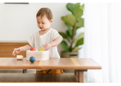 PlanToys - PUNCH & DROP BIN
