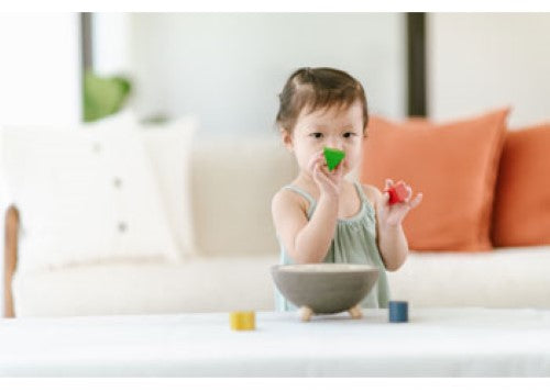 PlanToys - Shape Sorting Bowl