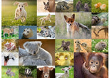Puzzle - Ravensburger- Baby Animals 200p