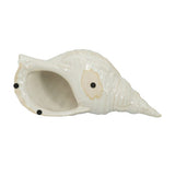 Decorative - Seashell