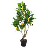 Decorative - Potted Lemon Tree