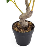 Decorative - Potted Lemon Tree