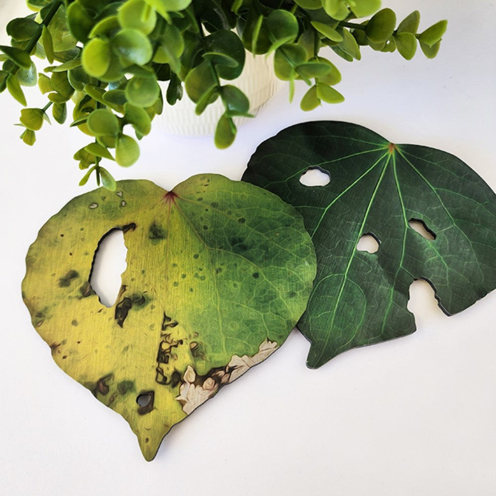 Wall Art - ACM Printed Kawakawa Leaves Set