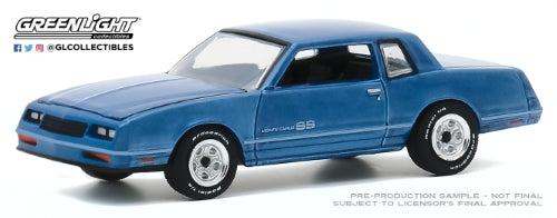 Diecast Model - 1984 Chevrolet Monte SS Test Car