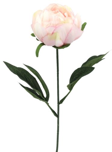Artificial Single Peony Stem - 44cm (Pink)