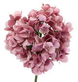 Artificial Single Stem Hydrangea Rose - Pink (34cm)