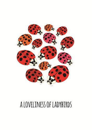101 Collective Nouns