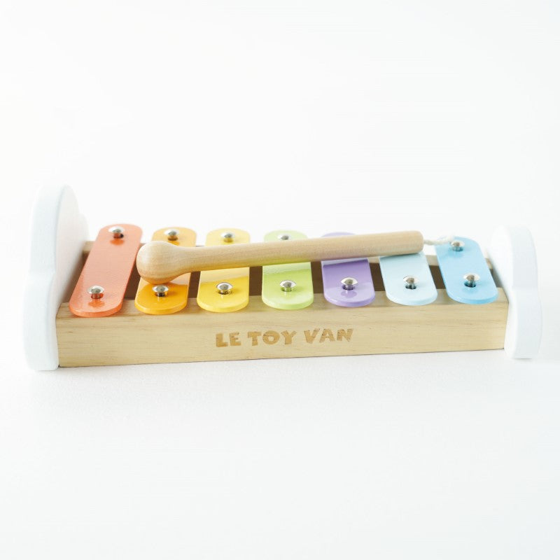 Xylophone With Metal Notes