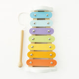 Xylophone With Metal Notes
