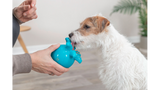 Dog Toy - Snack-Octopus 11cm