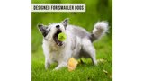 Dog Toy - K9K2 Mini Kannon Mini Tennis Ball Launcher