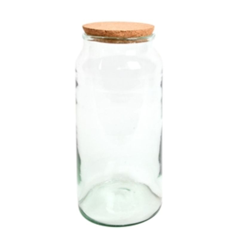 Set of 4 large half open terrarium bottles, made from recycled glass, ideal for various plants and easy maintenance.