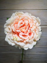 Artificial Flower Stem - Large Velvet Peony (Champagne)